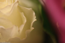 slides/IMG_3678.jpg  IMG_3678
