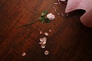 slides/IMG_4174.JPG  IMG_4174