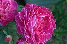 slides/IMG_4682.jpg  IMG_4682