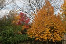 slides/IMG_5040.JPG  IMG_5040